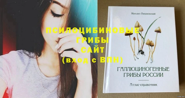 крисы Абдулино