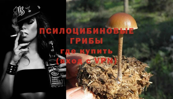 крисы Абдулино