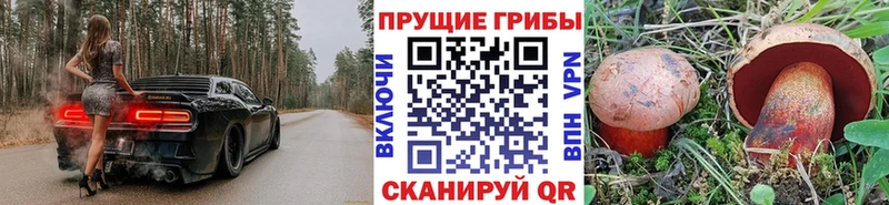 Галлюциногенные грибы прущие грибы  что такое   Аксай 